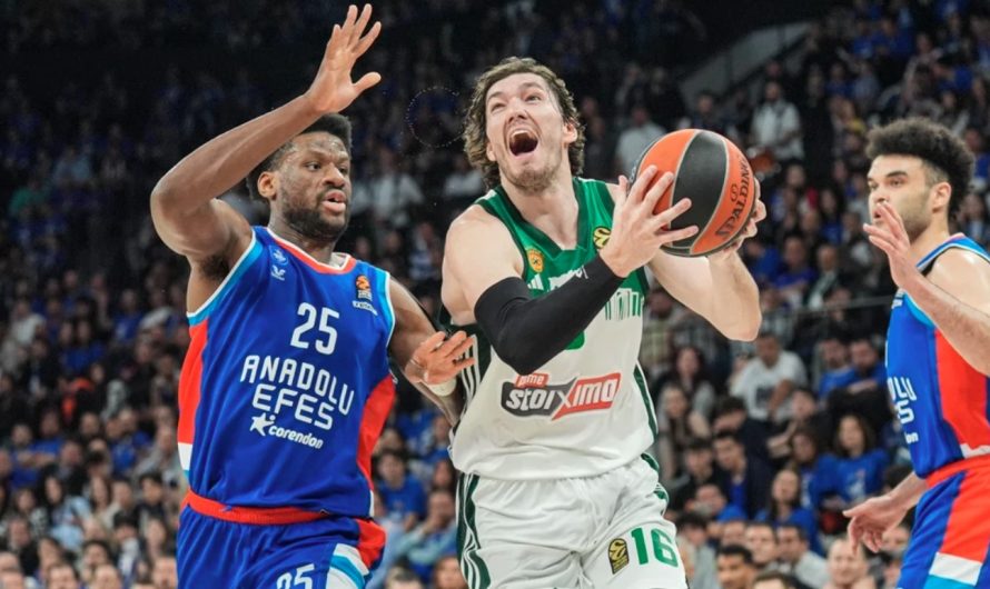 Cedi, Koç Ataman’a Yapılanı Utanç Verici Olarak Nitelendirdi