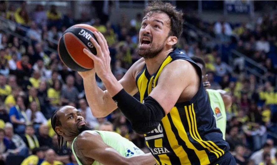 İDDİA: Bologna, Sertaç ile İlgileniyor (Analiz)